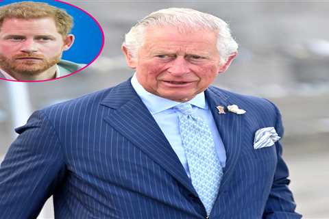 Why Prince Charles Can't 'Deal' With Prince Harry's Criticism