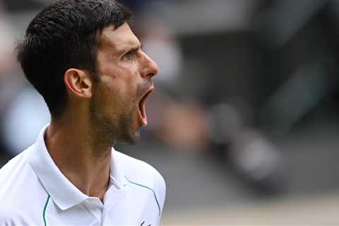 Novak Djokovic Wins Wimbledon, and His 20th Career Grand Slam Title