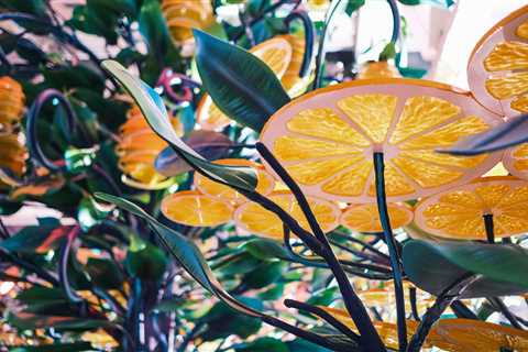 When Scaffolding Hands Them Lemons, Developers Make Lemon Trees