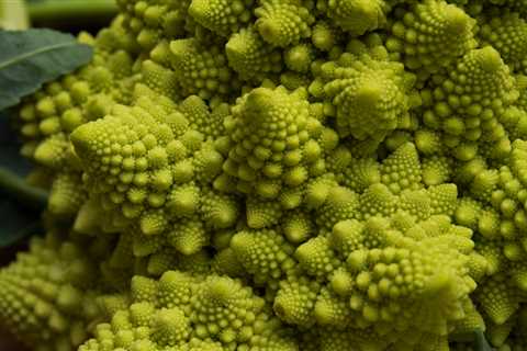 Cauliflower and Chaos, Fractals in Every Floret