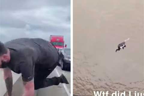 Louisiana Man 'Bored With Traffic' Jumps Off 100ft Bridge Into Alligator Infested-Water, Barely..