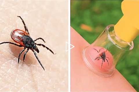 Useful Survival Hacks In Case You Get Stuck In The Wild!