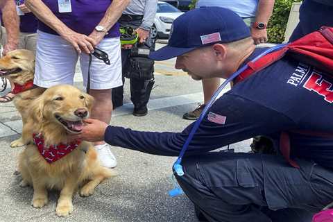 Comfort dogs brought to Surfside collapse site to support first responders and mourners