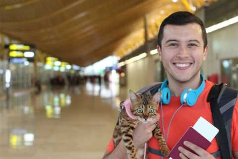 Flying Your Pets on a private jet – Is This a New Trend?