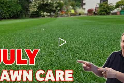 My Top 3 TIPS for an AMAZING lawn this summer |  Lawn care tips for July