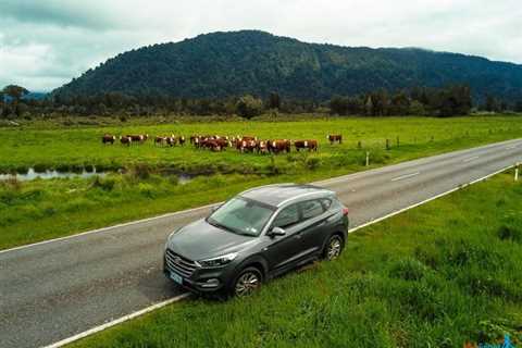 Why Should You Consider Car Sharing?