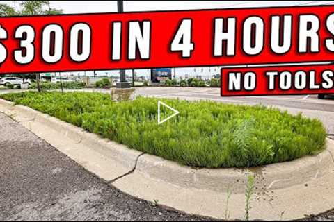 The Easiest Way To Make Money Landscaping That Everyone Overlooks
