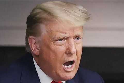 'Get over it': Trump mocked for late night meltdown on Fox