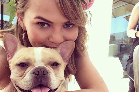 Chrissy Teigen and John Legend Mourn the Death of Their Dog Pippa