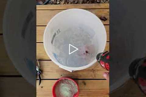 Mixing Your Own Fertilizer Is EASY - ryanknorrlawncare.com #shorts