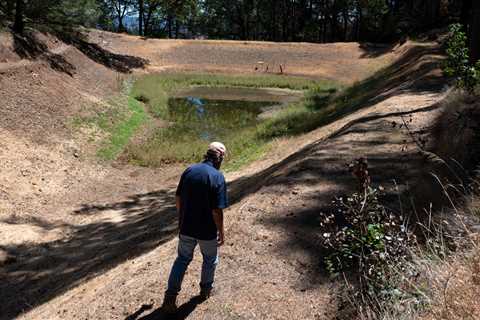 Scorched, Parched and Now Uninsurable: Climate Change Hits Wine Country