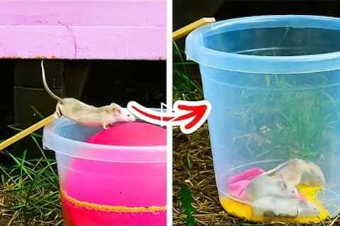 Easy Gardening Hacks To Try This Summer! How To Grow Any Plant At Home