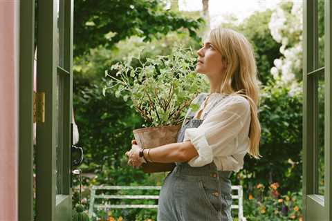 How to Create a Secret Garden in Your Own Backyard