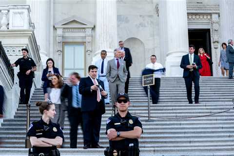 Born of a Crisis, Remote Voting in Congress Has Become a Useful Perk