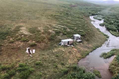 A Grizzly Bear Terrorized a Man for Days in Alaska. The Coast Guard Saw His SOS.
