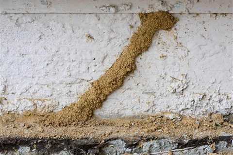 50 Super Dangerous Signs That Could Kill a Home Buy