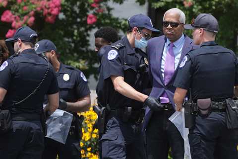 Representative Hank Johnson is arrested while protesting on Capitol Hill.