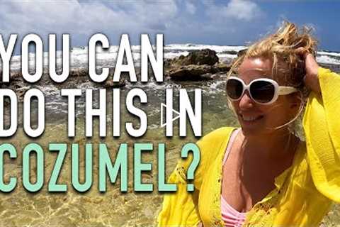 Royal Carribbean Adventure of the Seas Cruise Cozumel Vlog