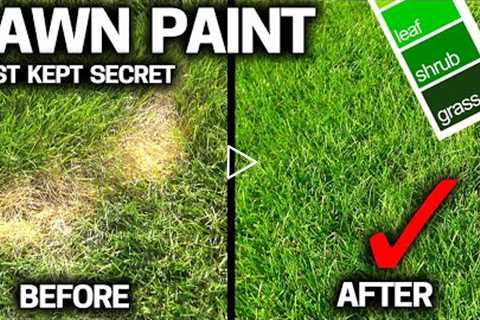 LAWN PAINT is a PRO SECRET YOU CAN USE - WHY?