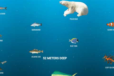 Amazing Website Alert: The Deep Sea by Neal Fun