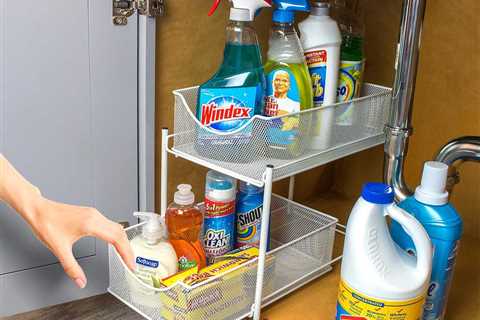 11 Best Under the Sink Organizers for the Bathroom and Kitchen