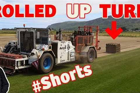 HOW are grass rolls made | AMAZING MACHINES  #shorts
