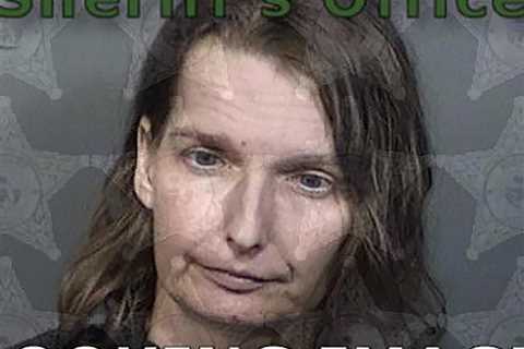 Florida Woman Arrested for Keeping Autistic Girl in Metal and Wood Cage