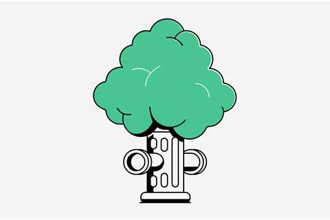 How to Plant a Street Tree