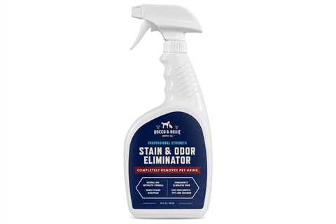 The Best Carpet Cleaners for Pet Stains