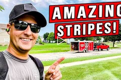 You've NEVER Seen Stripes DOMINATE Like This (BET ME!)