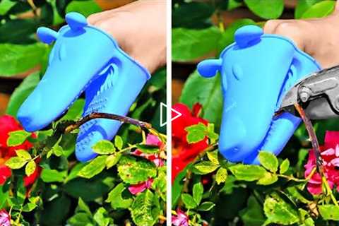 Clever Growing Plant Hacks And Easy Garden Organization Ideas