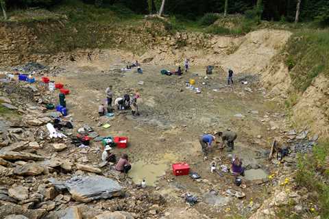 Amateur Fossil Hunters Make Rare Find in U.K. Using Google Earth