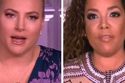 Meghan McCain, Sunny Hostin Debate Nepotism on The View: 'My Work Ethic Speaks for Itself'