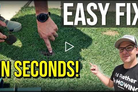 Fix Dog Spots In SECONDS!