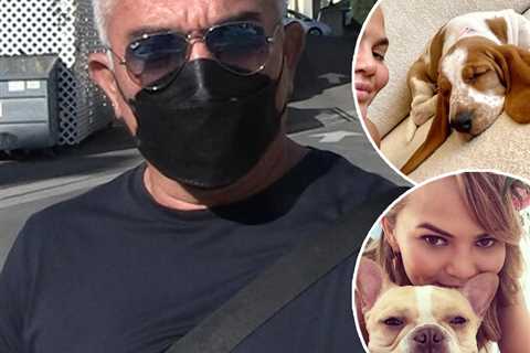 What Cesar Millan Thinks of Chrissy Teigen Quickly Replacing Her Beloved Late Dog (Exclusive)