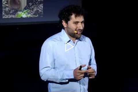 La resilienza in Natura: da calamità a opportunità di riscatto | Giuseppe Addamo | TEDxCataniaSalon