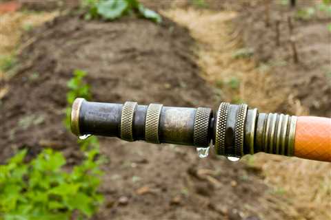 Garden Hoses: What To Know Before You Buy