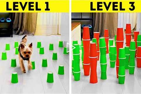 Funny Pet Pranks And Hacks