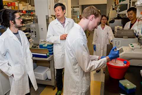 Research identifies potential role of ‘junk DNA’ sequence in aging, cancer