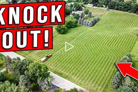 Zig Zag Lawn Stripes That Are Guaranteed To Turn Heads! *MUST SEE*
