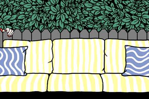 Can the Seller of My House Promise the Furniture to Someone Else?