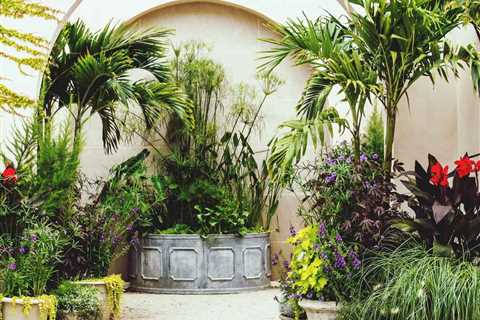 9 Best Trees To Grow in a Pot