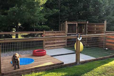 7 Outdoor Dog Kennel Ideas and Designs