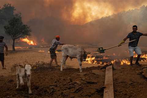 Turks Wage War on Social Media as Raging Fires Turn Political