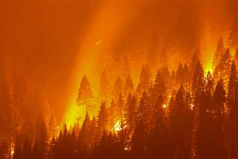 A Hotter Future Is Certain, Climate Panel Warns. But How Hot Is Up to Us.