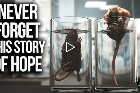 Shocking Rat Experiment Teaches Powerful Life Lesson