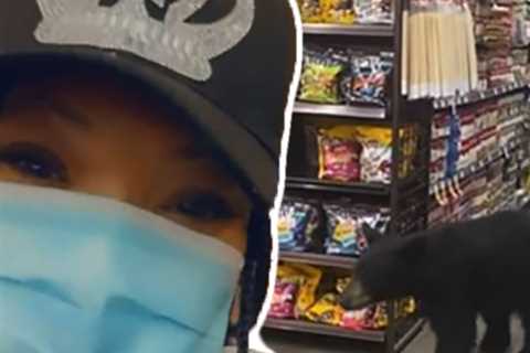 Tisha Campbell Explains Why She Was So Chill After Running Into a Bear at the Supermarket