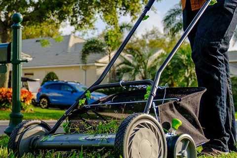 8 Lawn Mower Brands To Consider