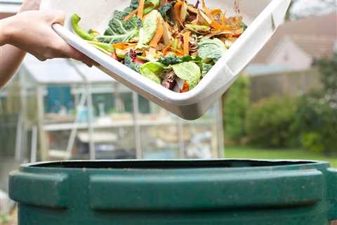 7 Best Compost Bins