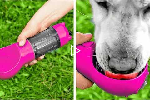 Amazing And Funny Pet Gadgets And Hacks